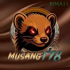 Tinju55
